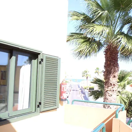 Pachi Atlantic Garden Daire