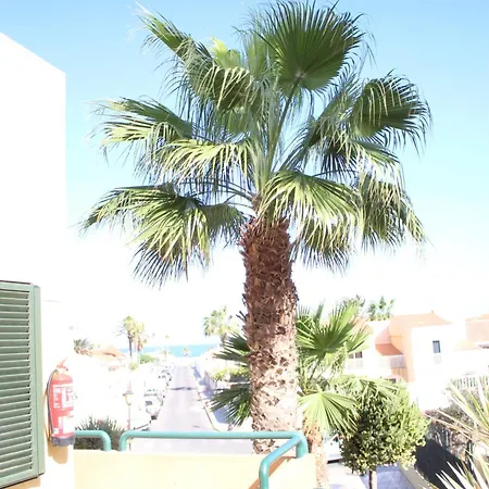 Pachi Atlantic Garden Apartment Corralejo