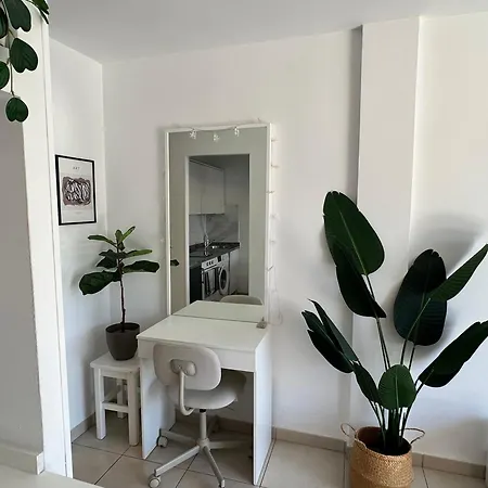 Pachi Atlantic Garden * コラレホ